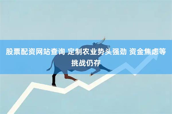 股票配资网站查询 定制农业势头强劲 资金焦虑等挑战仍存