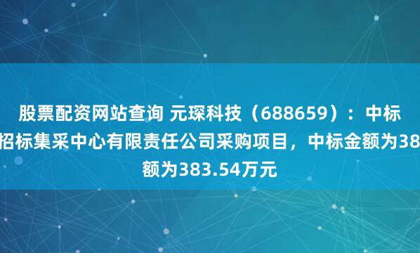 股票配资网站查询 元琛科技（688659）：中标北京京能招标集采中心有限责任公司采购项目，中标金额为383.54万元