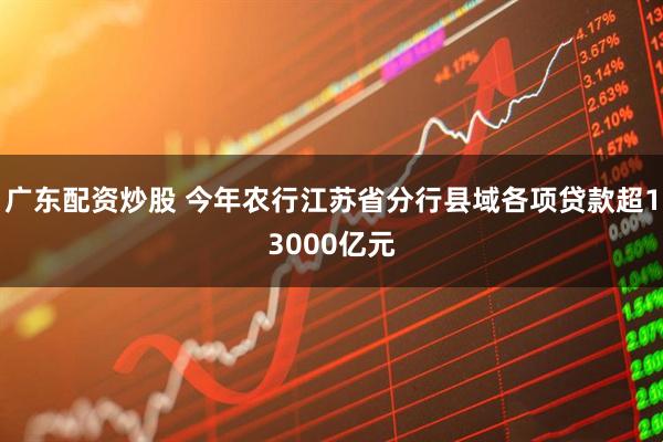 广东配资炒股 今年农行江苏省分行县域各项贷款超13000亿元