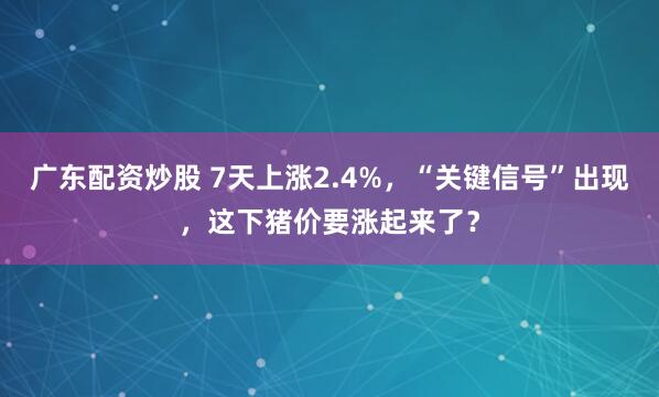 广东配资炒股 7天上涨2.4%，“关键信号”出现，这下猪价要涨起来了？